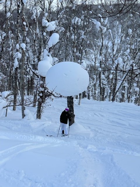 Ski and snowboard